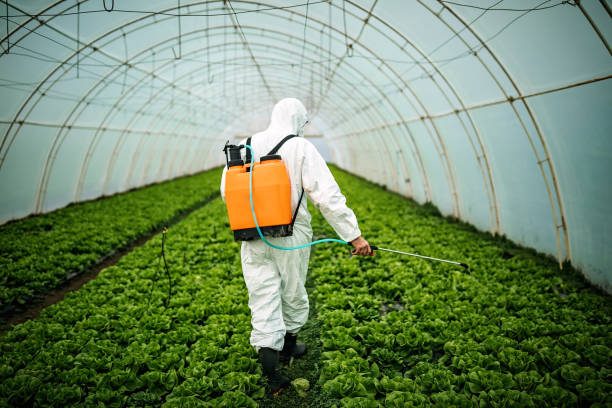 Best Pest Removal Services  in Duncansville, PA