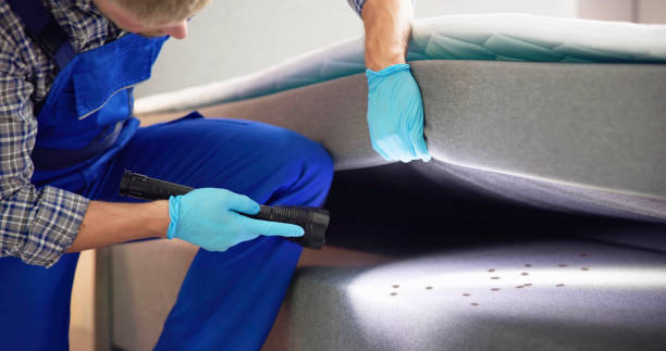 Best Commercial Pest Control Services  in Duncansville, PA