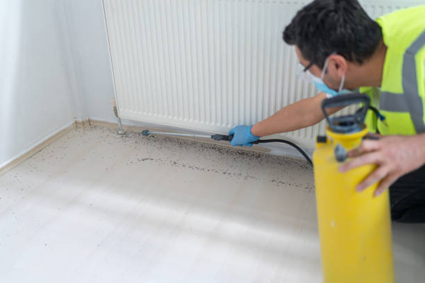Best Pest Prevention Services  in Duncansville, PA